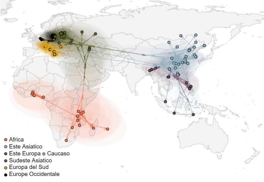 Vie di diffusione globale del virus della PSA
