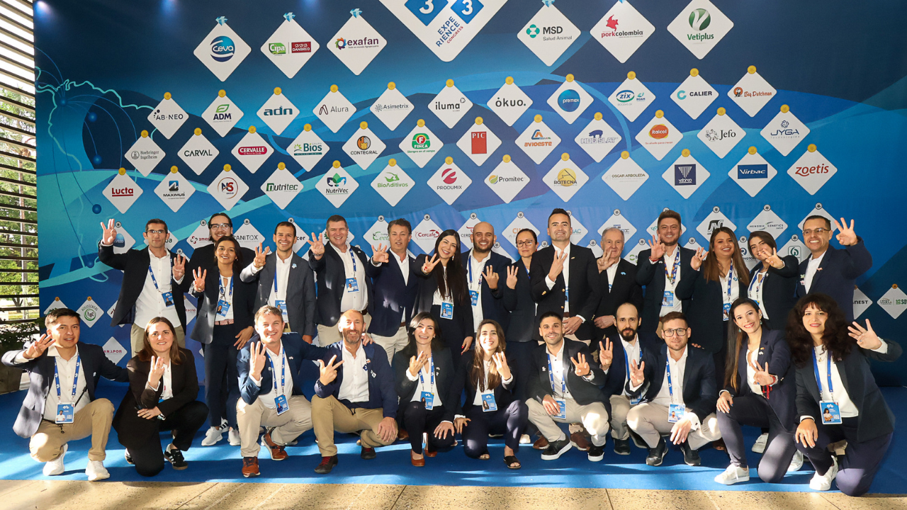 Nota final Experience 2025_Texto