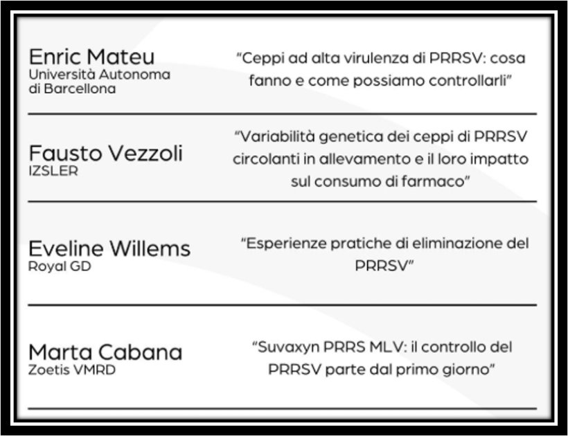 Rilancio Suvaxyn PRRS