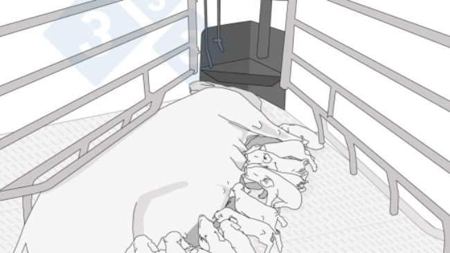 Infografica sull'alimentazione di precisione.