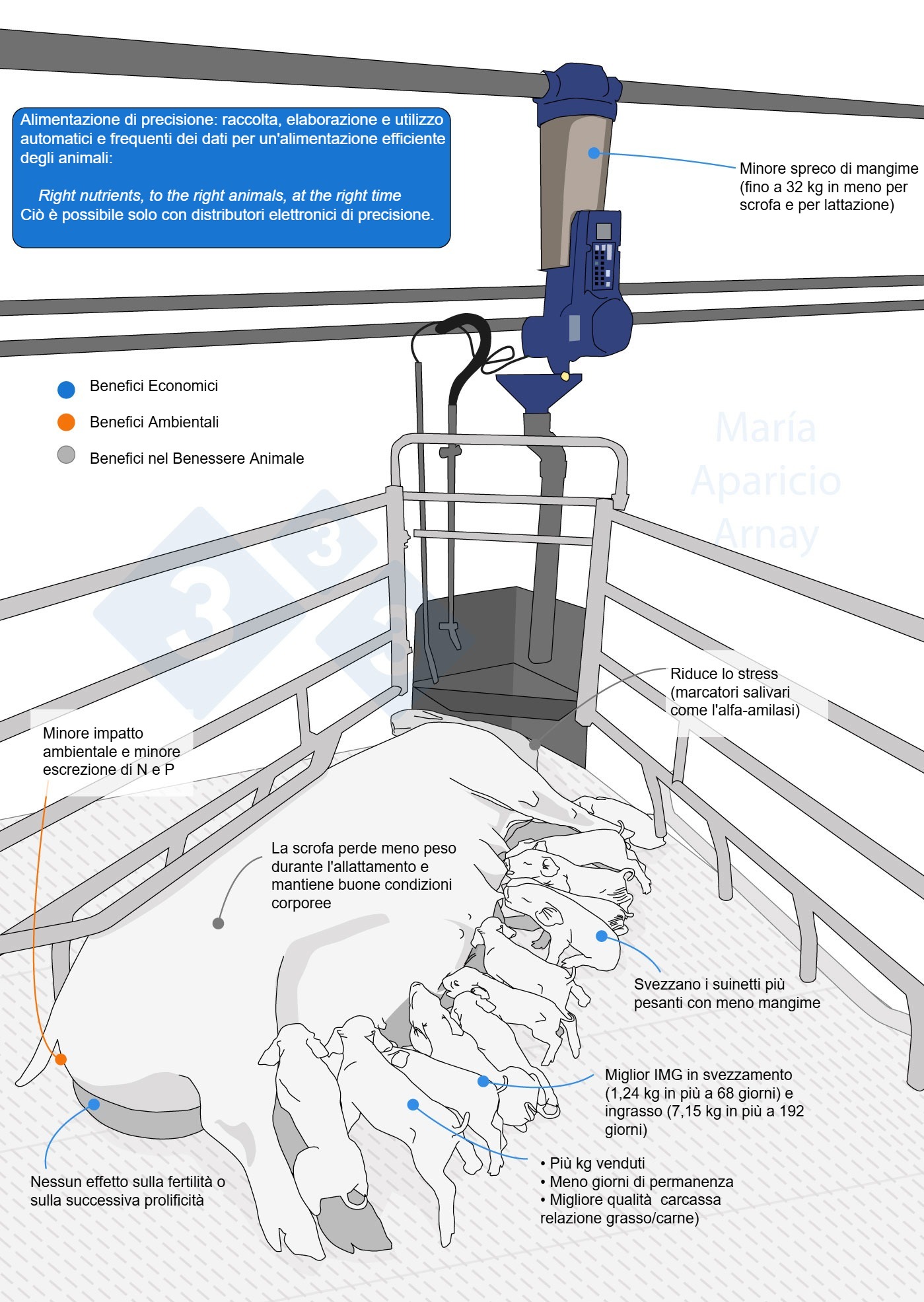 Vantaggi dellalimentazione elettronica