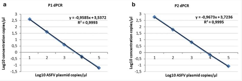 Linearit&agrave; del ddPCR P1 (a) e P2 (b) su diluizioni seriali del plasmide p72 da 104 a 1 copie/&mu;l. Sono stati tracciati i punti dati per i valori assegnati (asse x) e misurati (asse y) ed &egrave; stata calcolata una linea di tendenza mediante regressione lineare.
