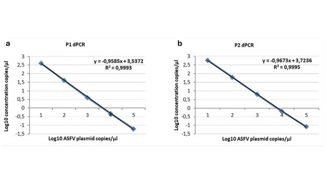 Linearità del ddPCR P1 (a) e P2 (b) su diluizioni seriali del plasmide p72 da 104 a 1 copie/μl. Sono stati tracciati i punti dati per i valori assegnati (asse x) e misurati (asse y) ed è stata calcolata una linea di tendenza mediante regressione lineare.