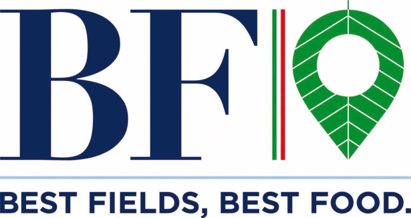 Logo BF