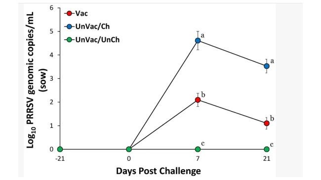 Valori medi del numero di copie genomiche di RNA del PRRSV-2 nel siero delle scrofe. La variazione è espressa come deviazione standard. I diversi apici (a, b e c) indicano una differenza significativa (p