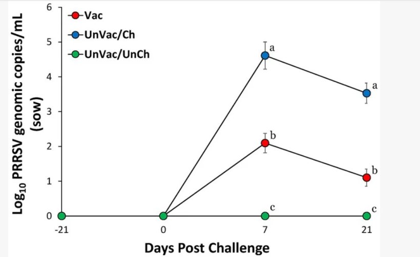 Valori medi del numero di copie genomiche di RNA del PRRSV-2 nel siero delle scrofe. La variazione è espressa come deviazione standard. I diversi apici (a, b e c) indicano una differenza significativa (p