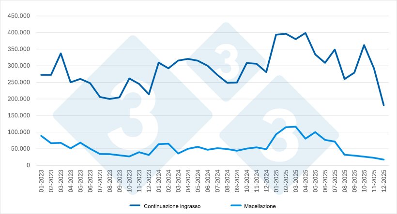 Grafico 3. Evoluzione delle importazioni mensili per categoria (2023-2025). Fonte: 333 su dati MAPA.
