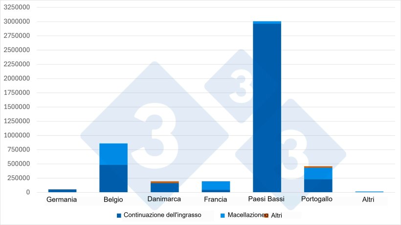 Grafico 2. Fornitori di suini vivi in Spagna per categoria di animali (2025). Fonte: 333 sulla base dei dati MAPA.