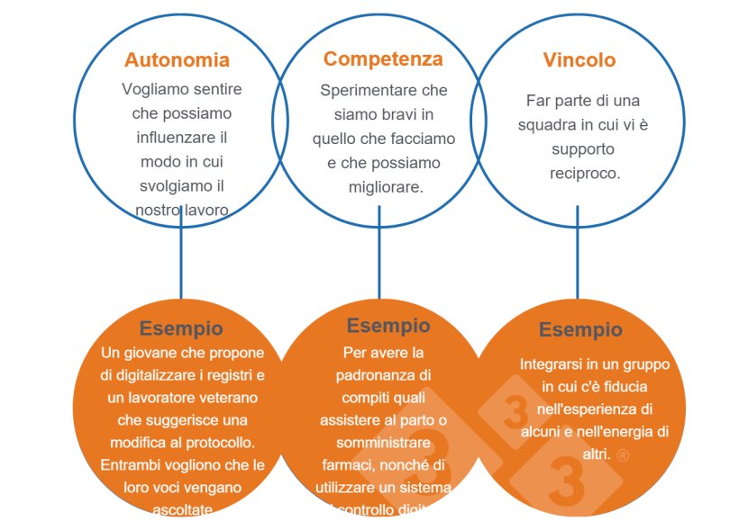 Immagine 1. Bisogni universali che condividiamo (Deci & Ryan, 2000).