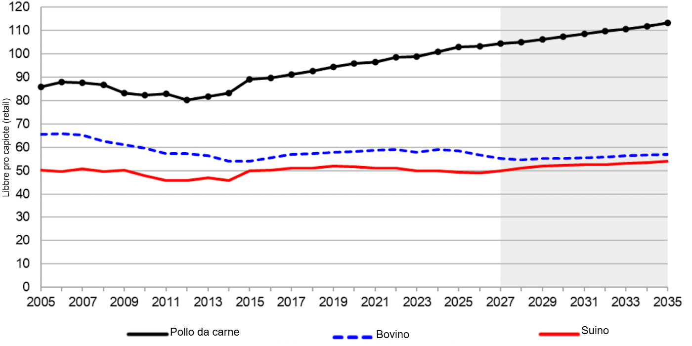 Consumo pro capite di carne negli Stati Uniti, 2005-2035