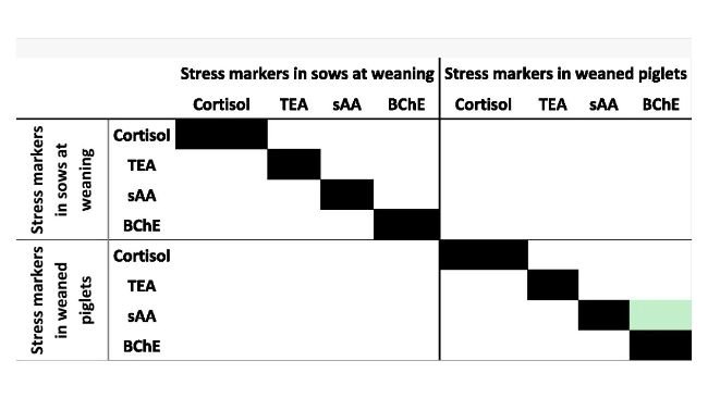 Rappresentazione tramite mappa di calore delle correlazioni tra i marcatori di stress nelle scrofe e nei suinetti allo svezzamento. Le correlazioni significative (p0,50).Front. Vet. Sci. 13:1772189. doi: 10.3389/fvets.2026.1772189