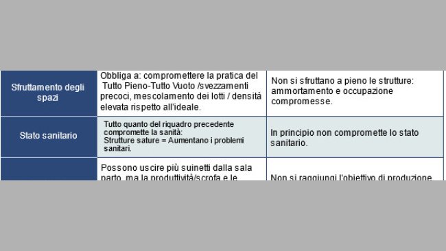 24-texto