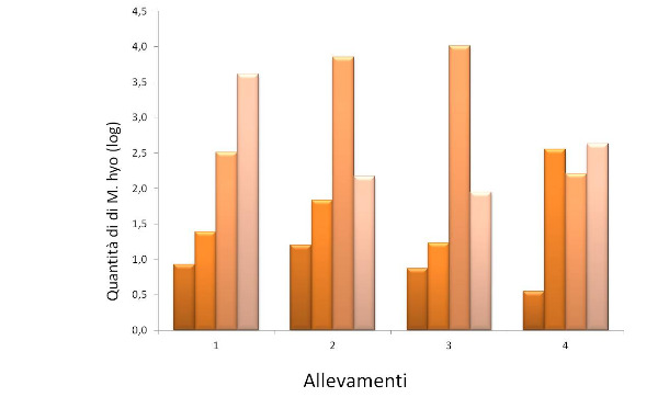 graficomyco