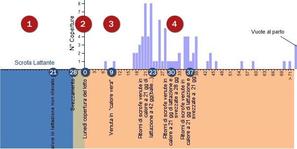 Análisis repeticiones periodo conflictivo