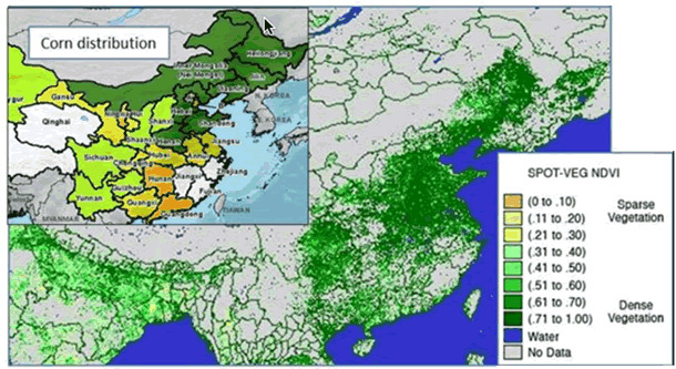 corn-distribution.gif