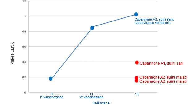 Representación de la media de resultados de ELISA por grupos