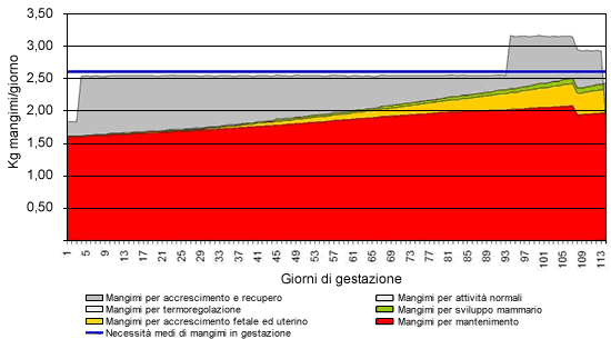 Evoluzione del peso dei suinetti, placente, liquidi e apparato mammario durante la gestazione.