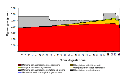 Evoluzione del peso dei suinetti, placente, liquidi e apparato mammario durante la gestazione.