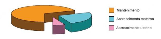 Fabbisogni di energia in gestazione per il mantenimento, accrescimento e guadagno di peso intrauterino.