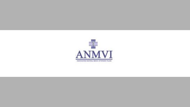 anmvi