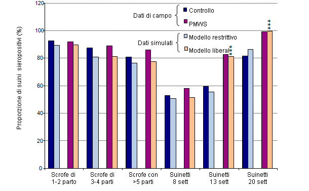 Comparación de resultados (seroprevalencia de PCV-2) del modelo de simulación con los datos de campo