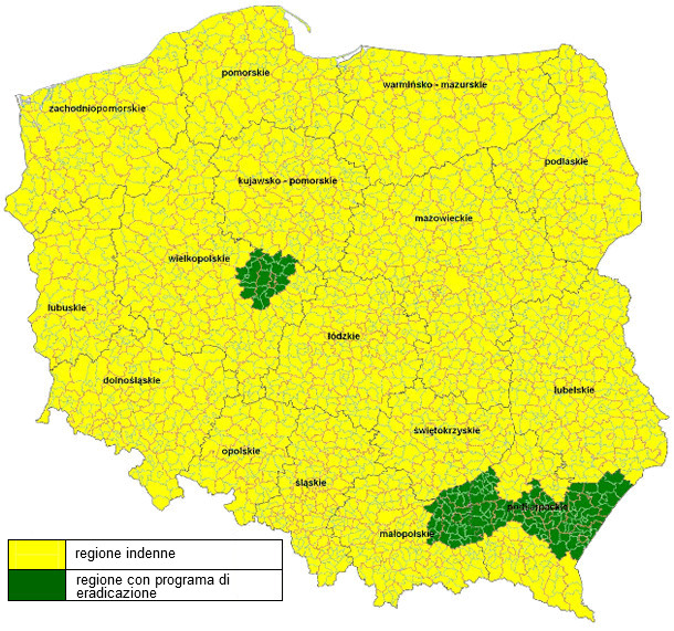 Mapa de regiones reconocidas como indemnes al virus de la enfermedad de Aujeszky en cerdos - a partir de marzo de 2014