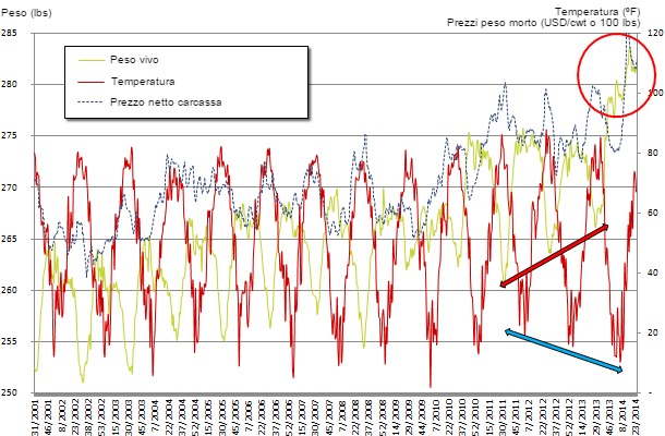 Peso vivo medio al macello negli USA vs Temperatura