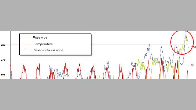 Peso vivo medio al macello negli USA vs Temperatura
