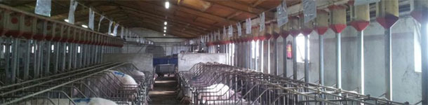 Giorni non produttivi (2/2): 16.000 € nascosti in gestazione