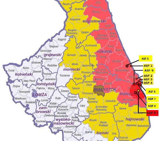 Mapa występowania ognisk ASF w Polsce