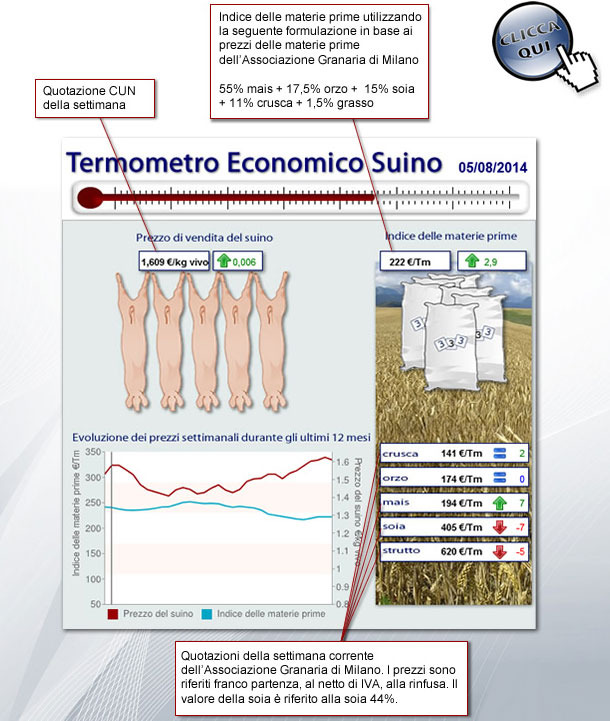 Termometro Economico Suino