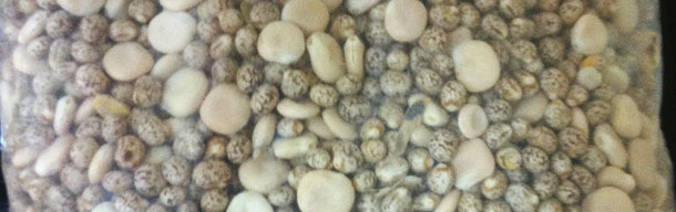 Mescla di lupini australiani e spagnoli