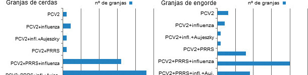 Co-sieropositività nei suini