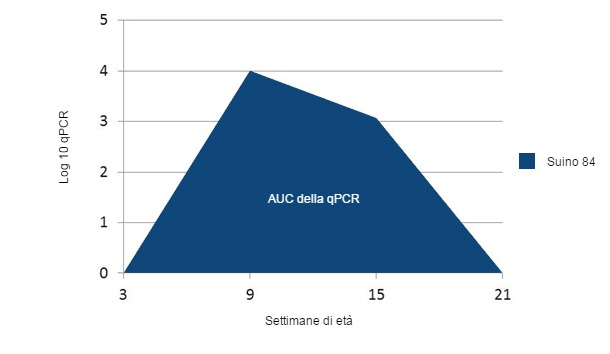 Esempio di calcolo della AUC con qPCR per PCV2i  individuale