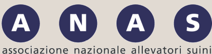 logo anas