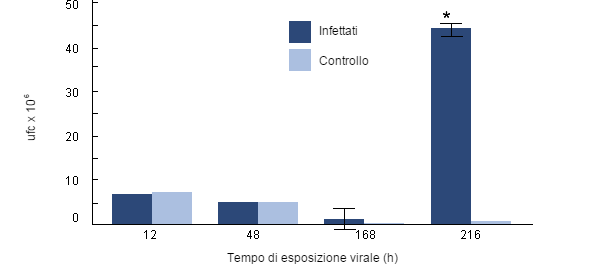 Sopravivenza intracellulare di H parasuis ei macrofati alveolari suini raccolti di suini infettati con PRRSv