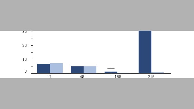 Sopravivenza intracellulare di H parasuis ei macrofati alveolari suini raccolti di suini infettati con PRRSv