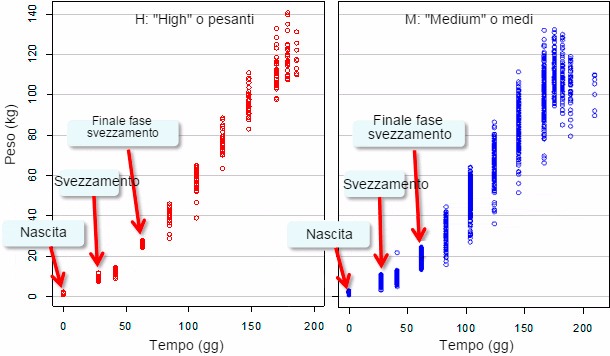 Evolución del peso vivo