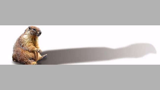 ¡El cerdo de Punxsutawney!