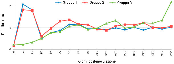 Respuesta de IgM en cerdos jóvenes después de una infección experimental con PRRSV