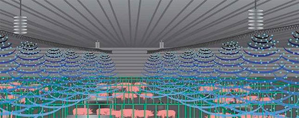 Rappresentazione dellinstallazione del sistema EPI in allevamento