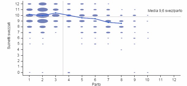 Numero svezzati per parto di 6 mesi