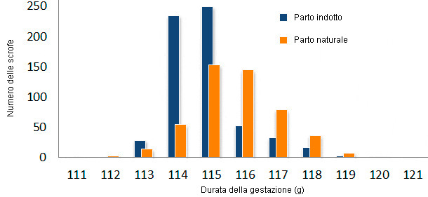 CConfronto della durata della gravidanza