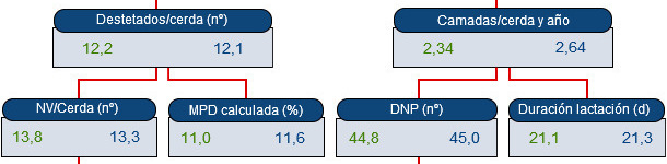 Álbero della produttività
