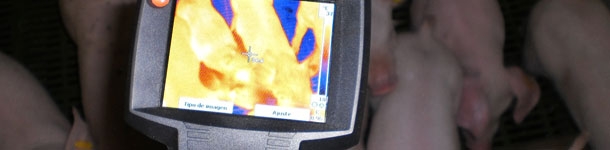 Diagnosi termografica: utilità pratiche per l'allevamento