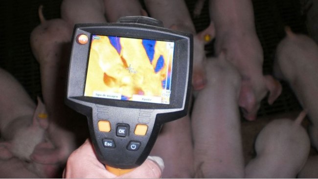 Come funziona la termocamera