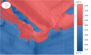  Immagine termografica (scala con valori limiti) di facciata e copertura interna in svezzamento (inverno).