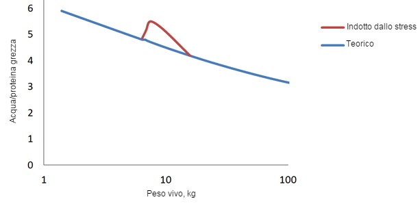 Rapporto acqua/proteina nei suini dalla nascita alla macellazione