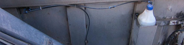 Uso di insetticida all'interno del cassone dei morti