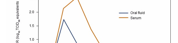 Risultati dei campioni dei fluidi orali e del siero per il PRRSv qRT-PCR secondo la settimana post-inoculazione